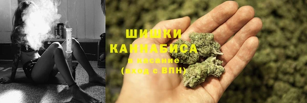 гидра Баксан